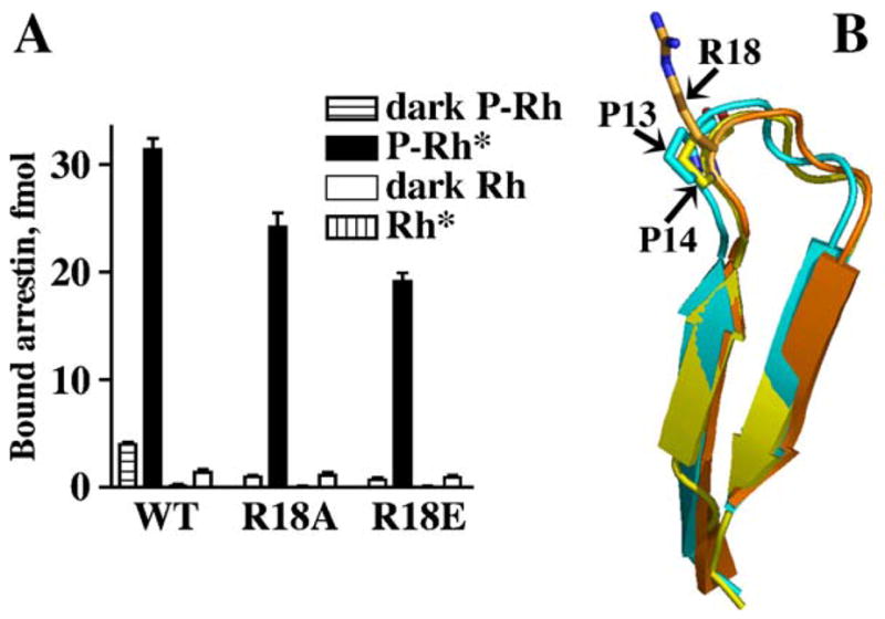 Fig. 12