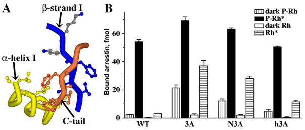 Fig. 8