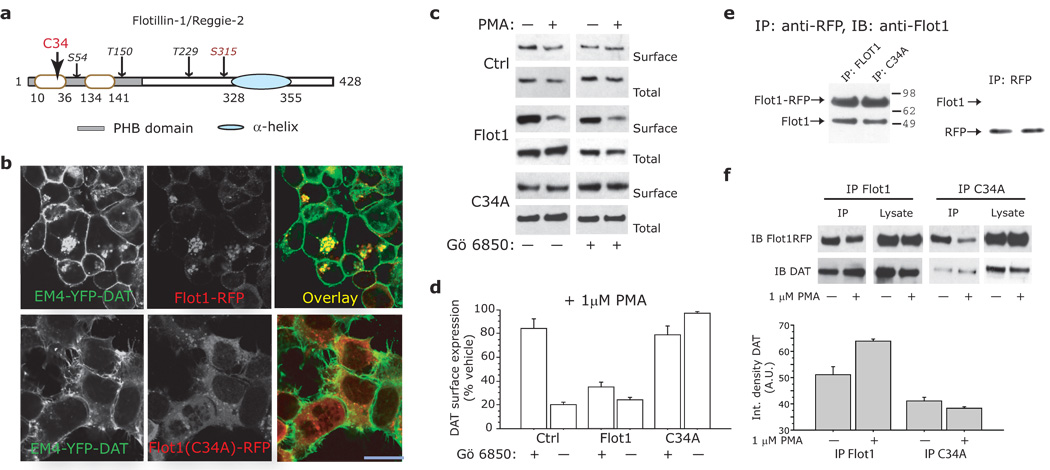 Fig.4