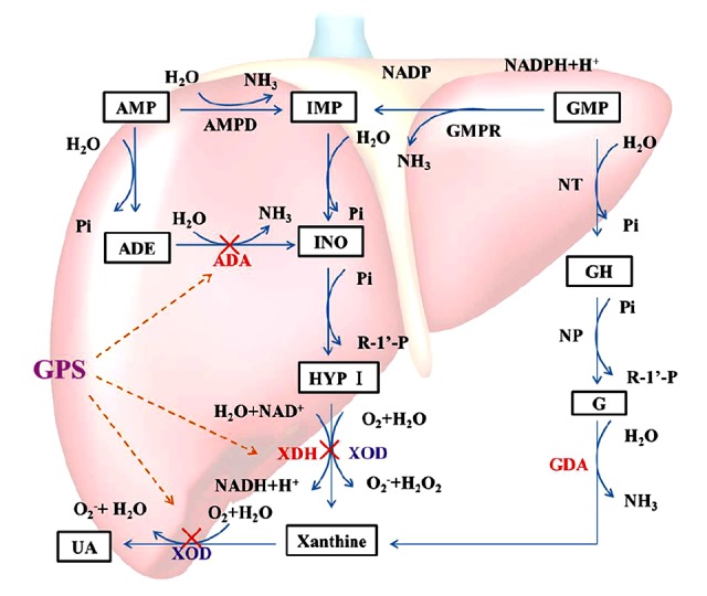 Figure 7