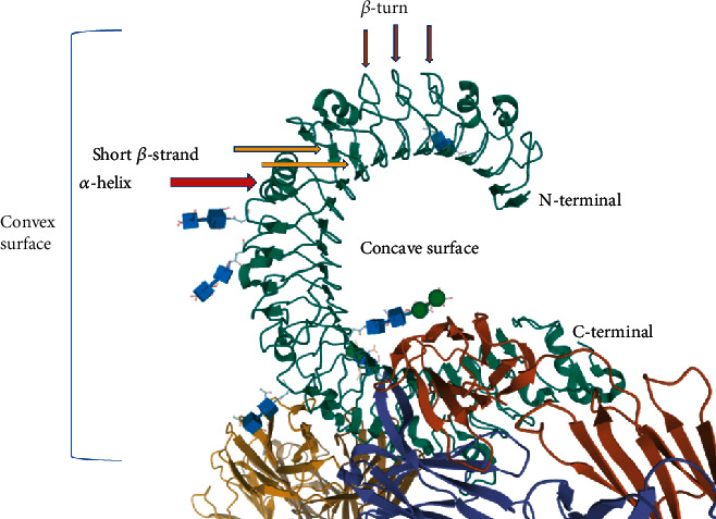 Figure 2