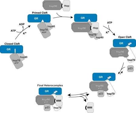 FIGURE 1.