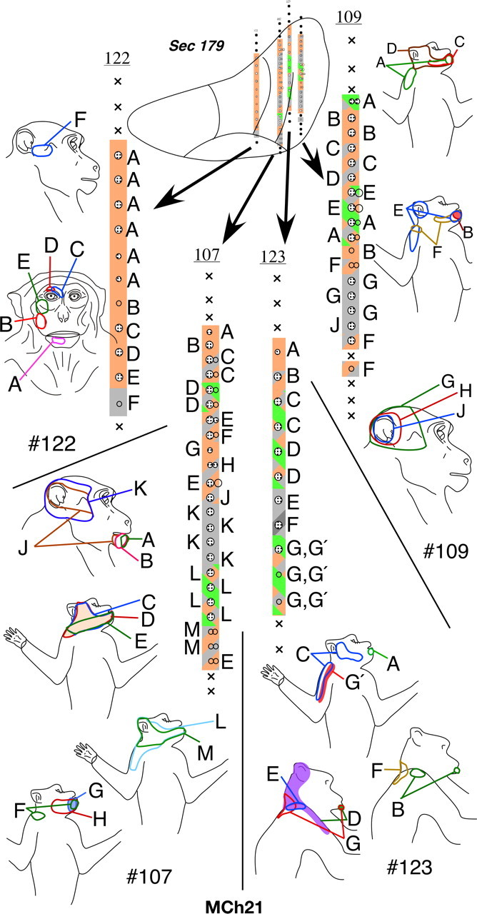 Figure 19.