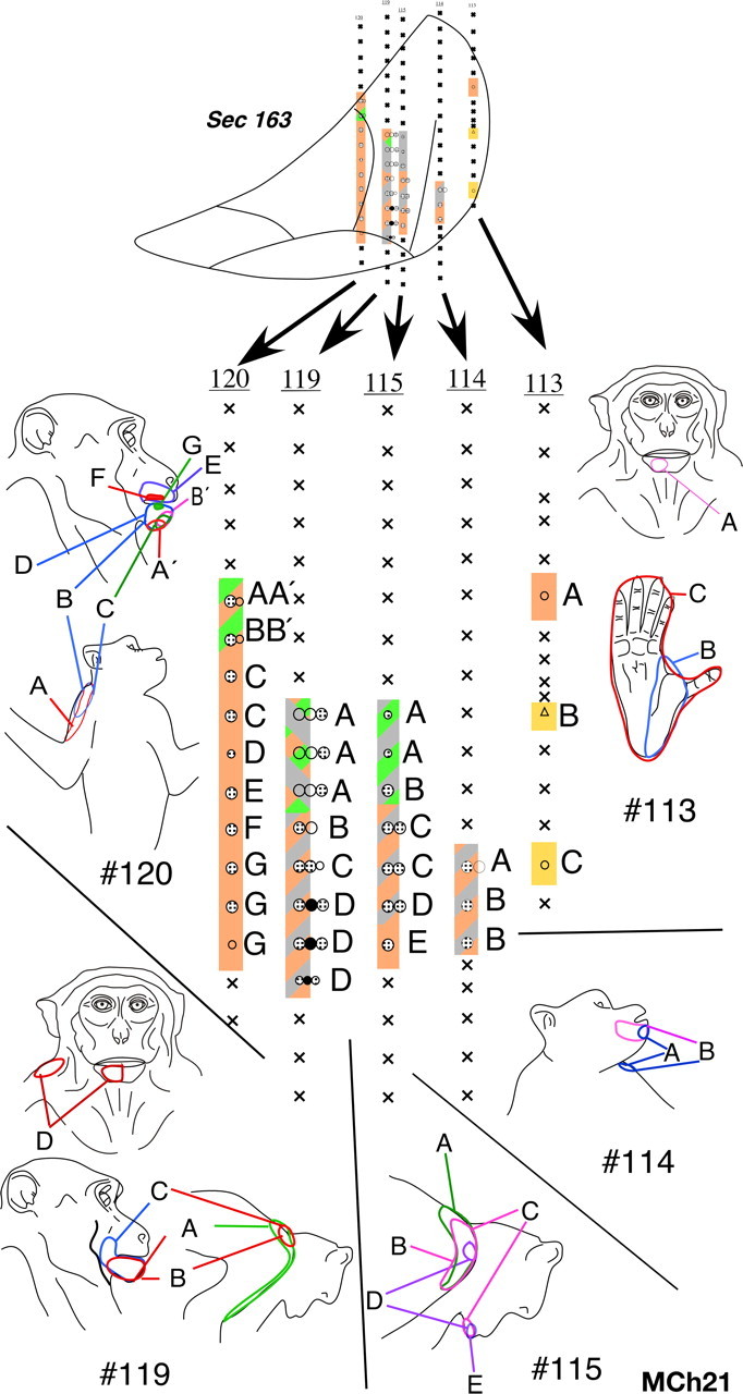 Figure 21.