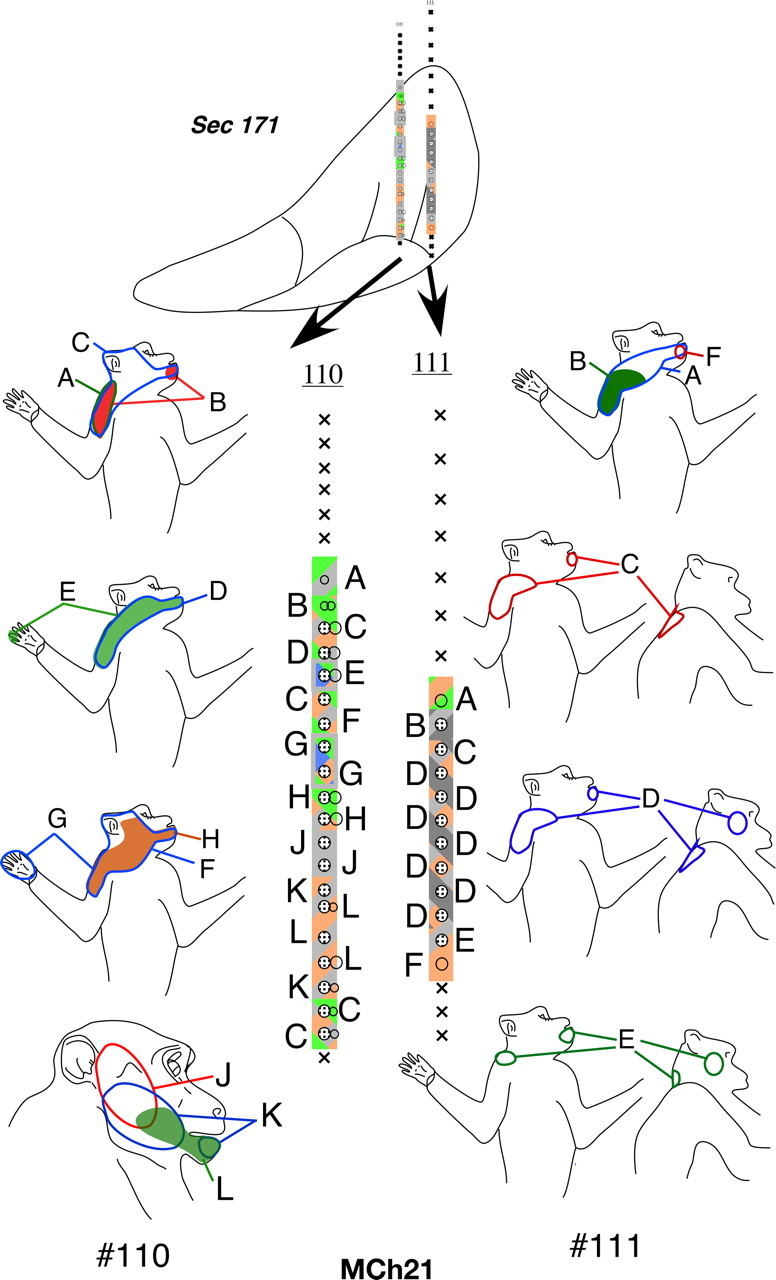 Figure 20.