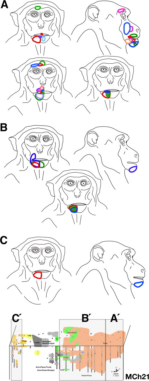 Figure 13.