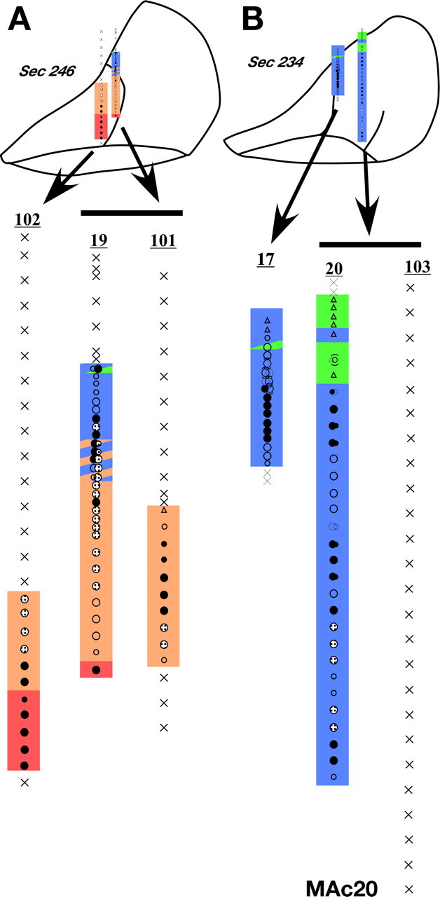 Figure 23.