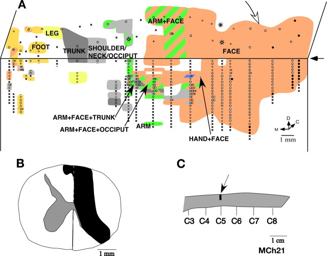 Figure 12.