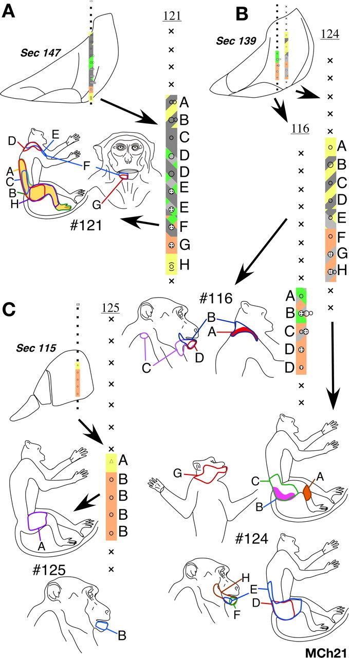 Figure 22.