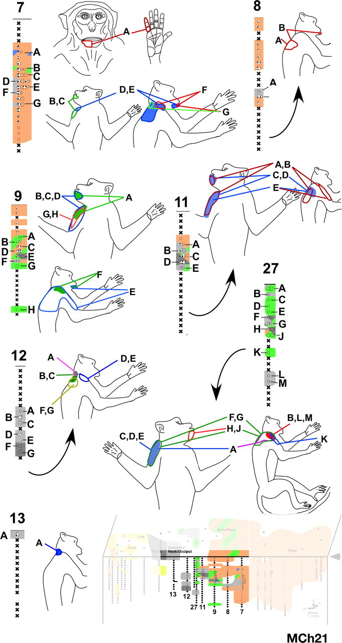 Figure 14.