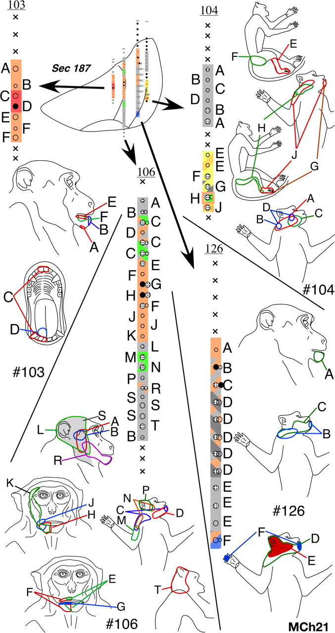 Figure 18.