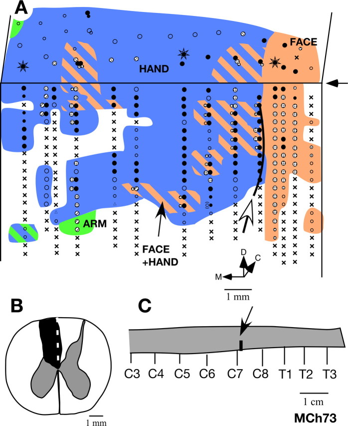 Figure 9.