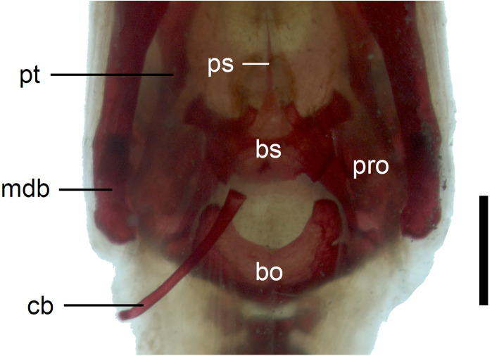 Figure 12