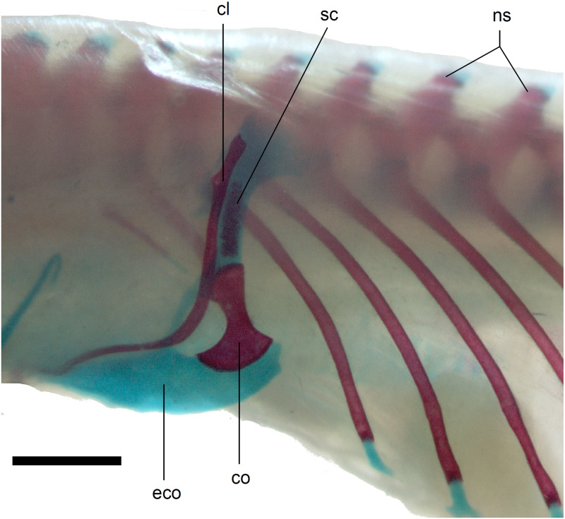 Figure 14