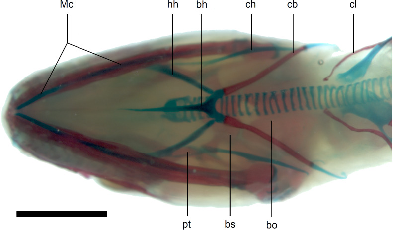 Figure 13