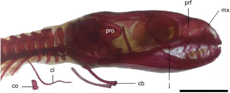 Figure 10