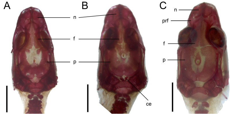 Figure 9