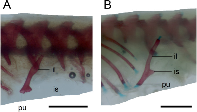 Figure 15