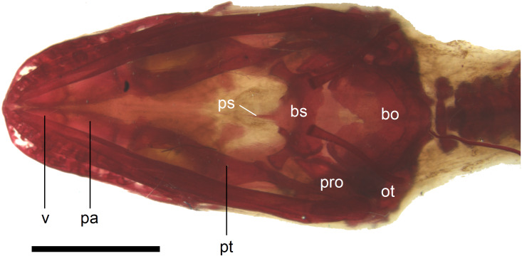 Figure 11