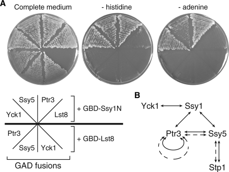 FIG. 8.