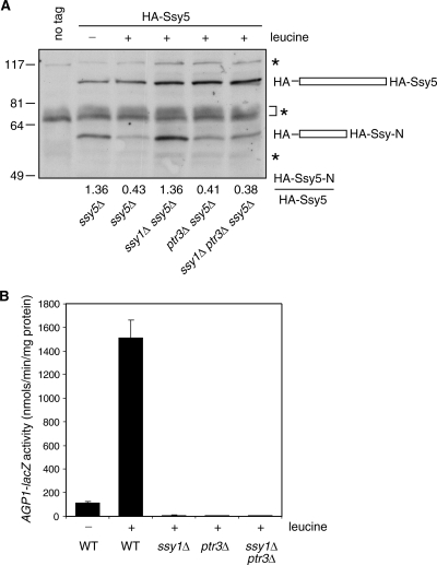 FIG. 7.