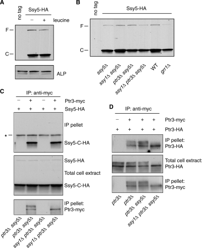 FIG. 6.