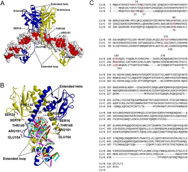 FIG 4