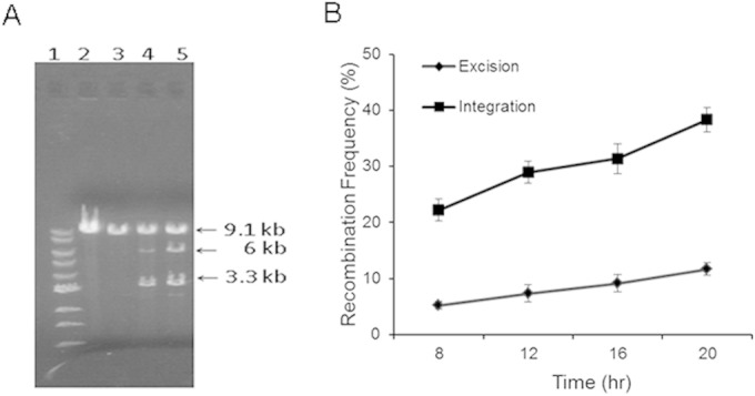 FIG 2