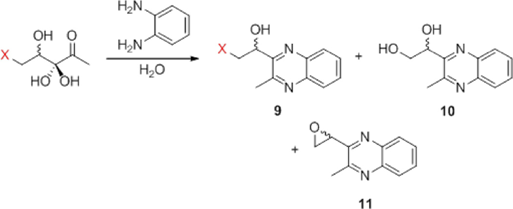 Scheme 2