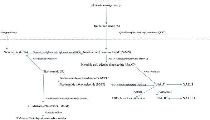 Figure 2.