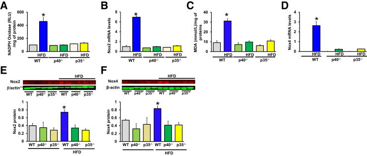 Figure 6