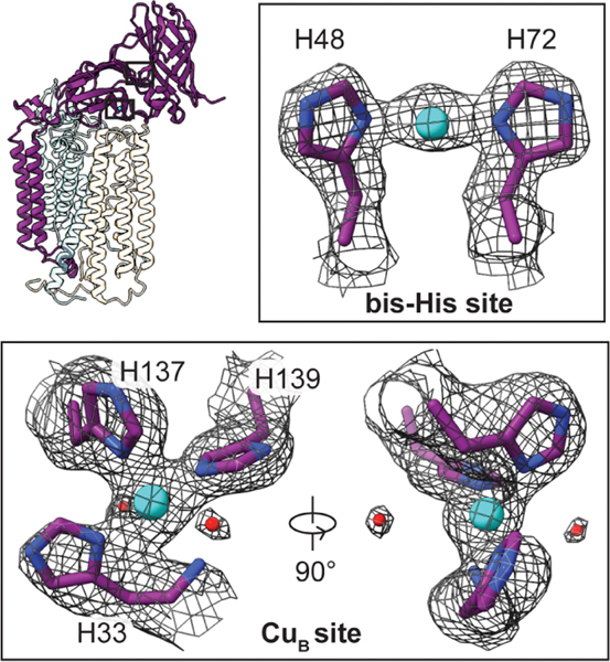 Fig. 2.