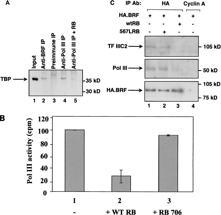 FIG. 10