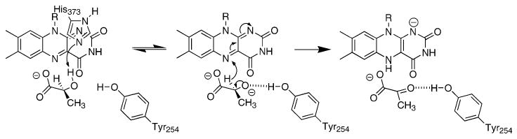 Scheme 2