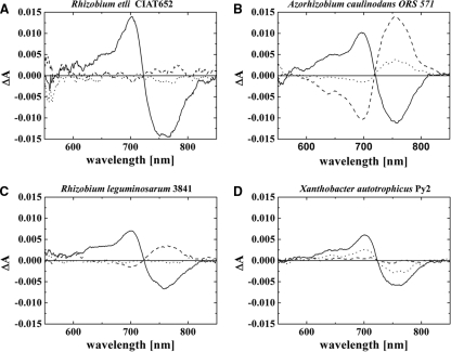 FIG. 7.