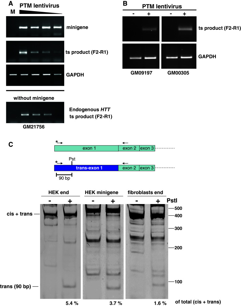 Fig. 8