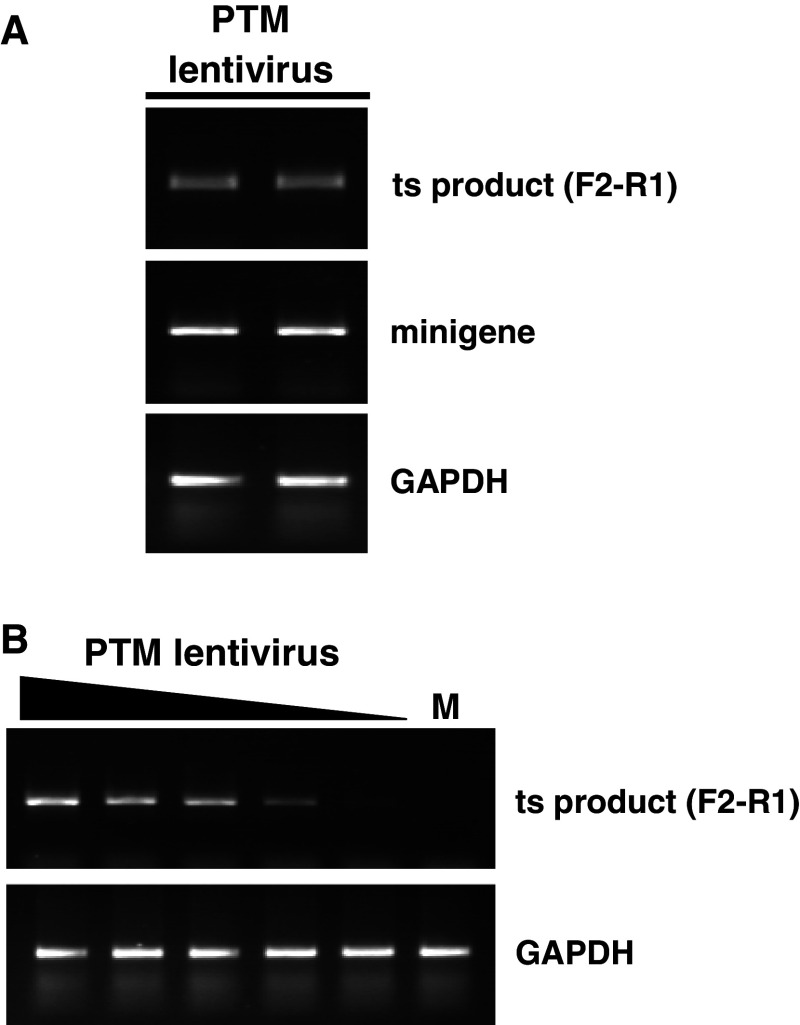 Fig. 7