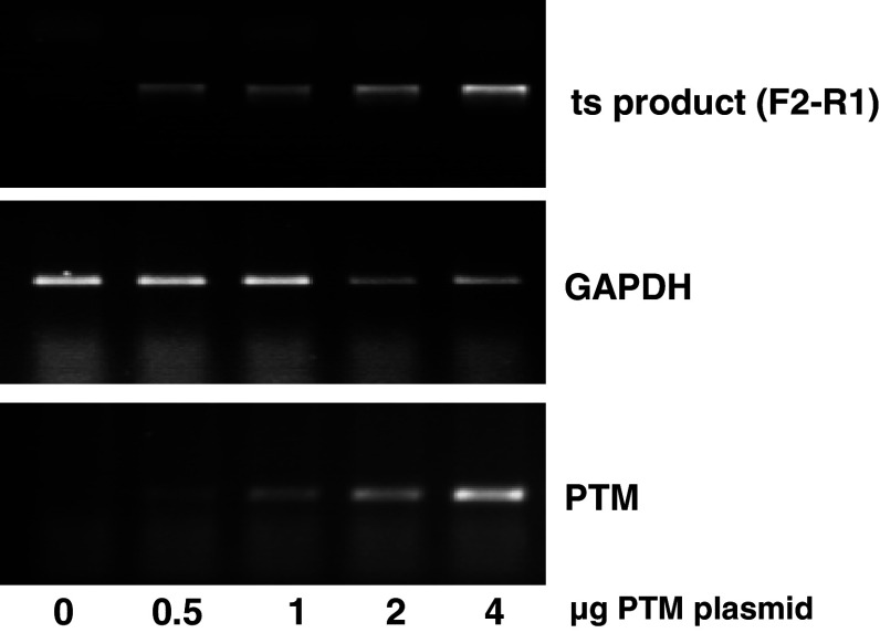 Fig. 6