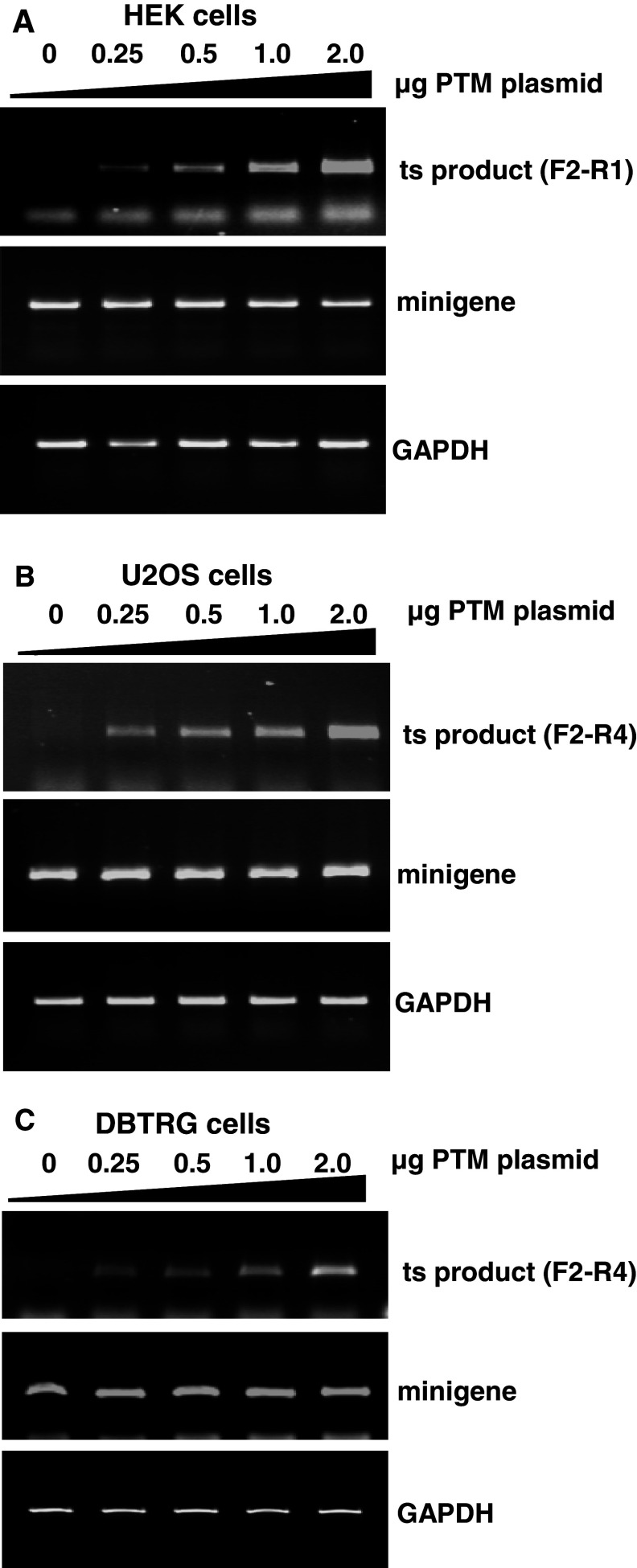 Fig. 5