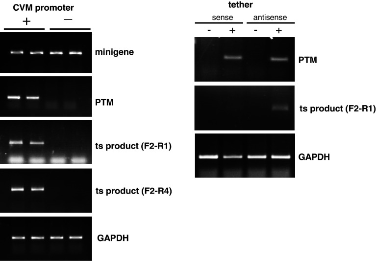 Fig. 4