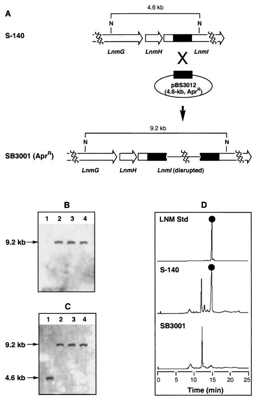 FIG. 5.