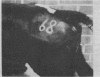 271