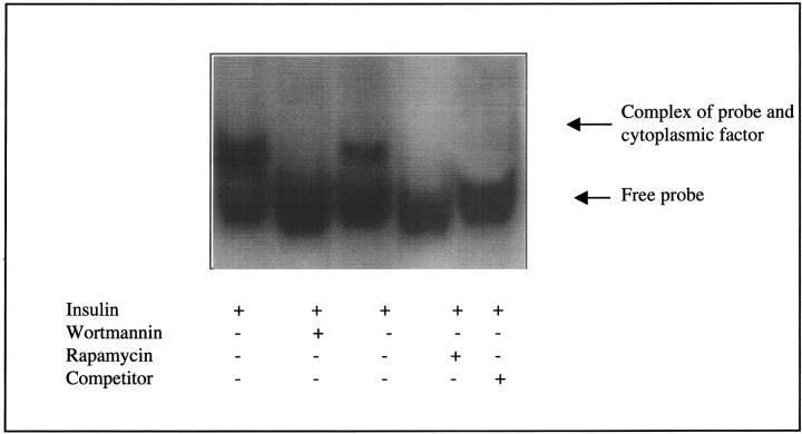 Figure 10.