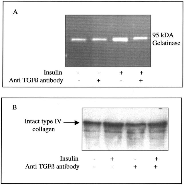 Figure 12.