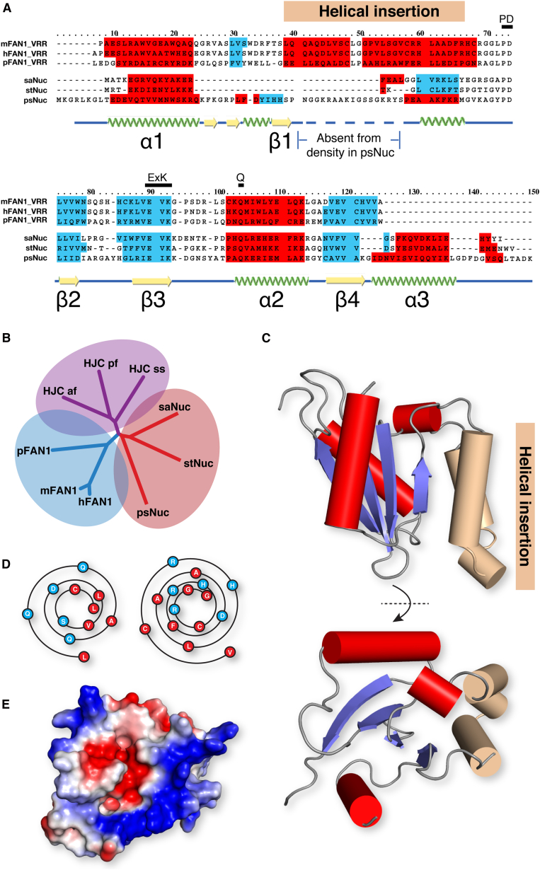 Figure 5