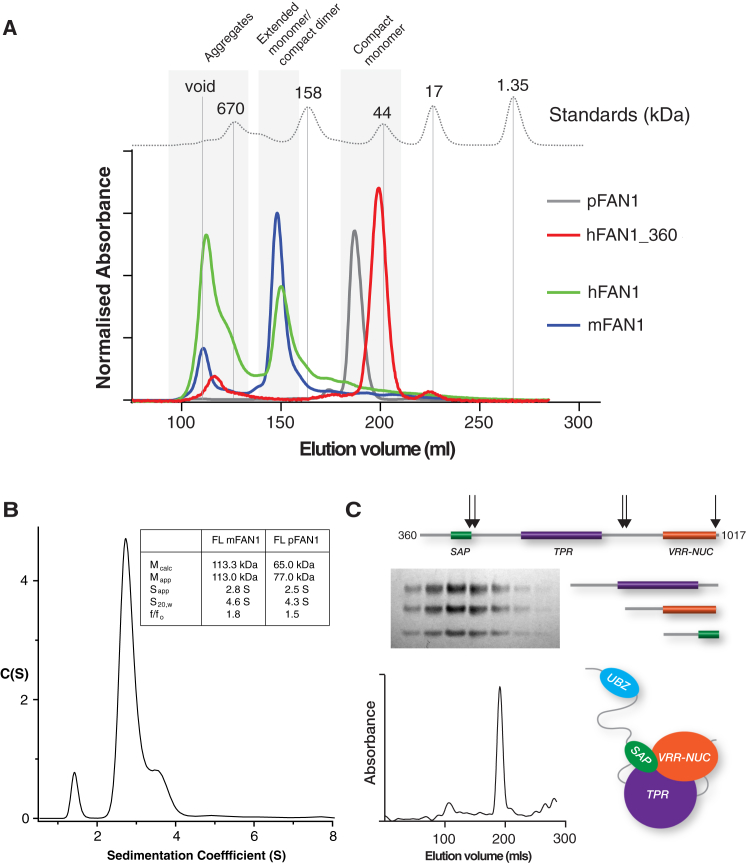 Figure 4