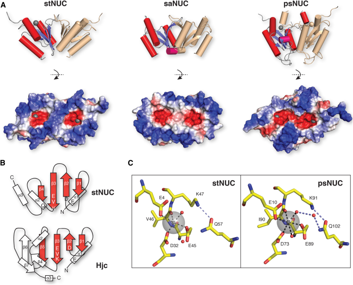 Figure 2