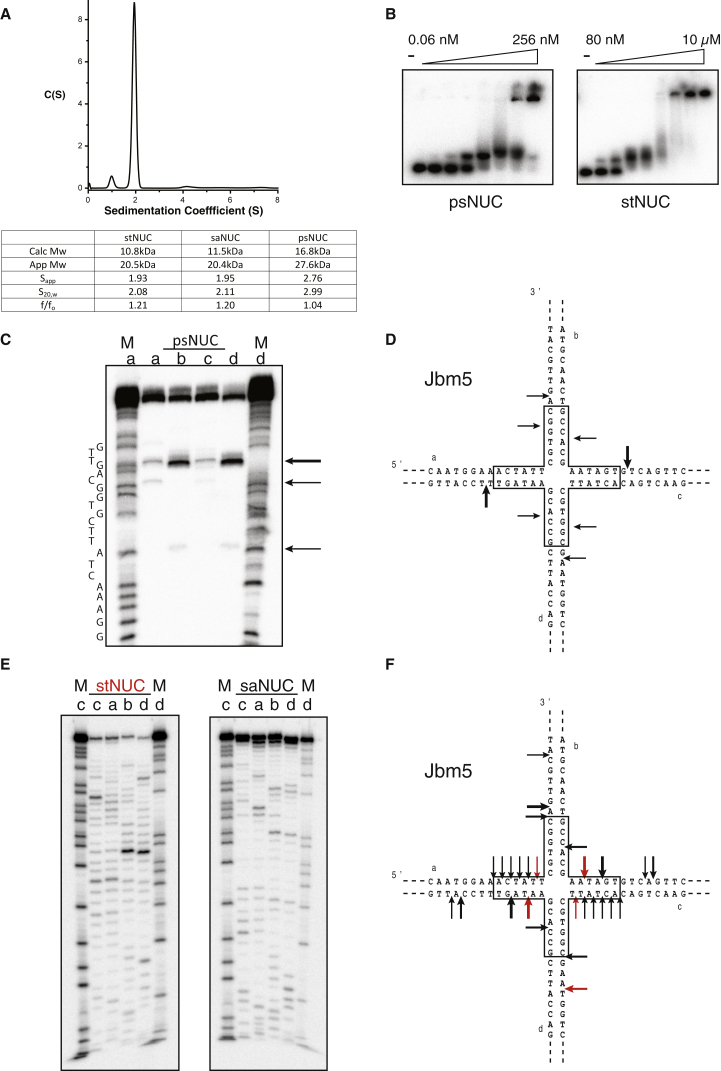 Figure 3