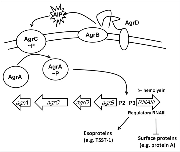 Figure 6.