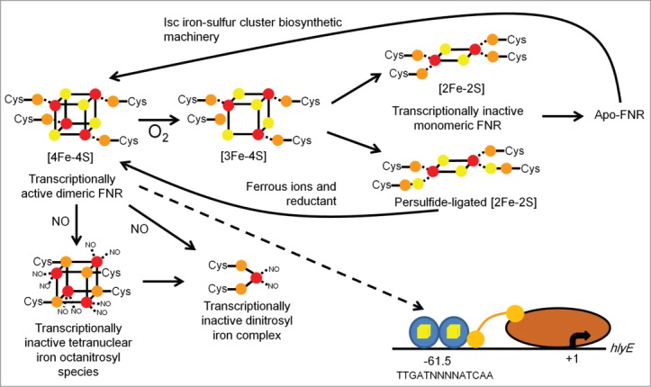 Figure 2.